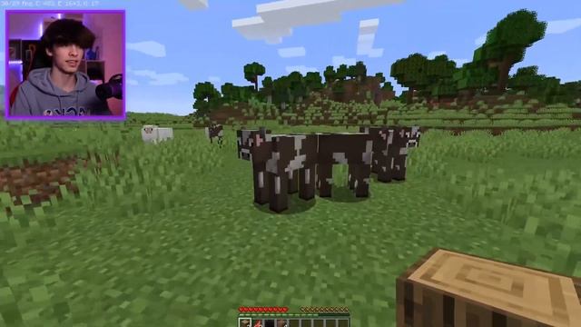 Майнкрафт с 120 ФПС vs 60 ФПС vs 30 ФПС vs 15 ФПС vs 5 ФПС! смотреть онлайн