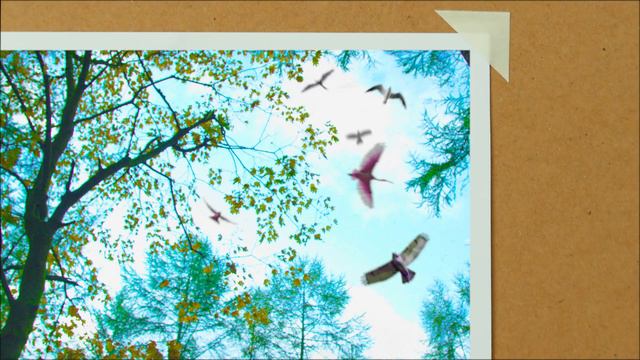 Ivor Cutler "Here's A Health For Simon" (performed by Citizen Bravo, Raymond MacDonald and Friends) смотреть онлайн