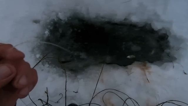 р. Обь. Очередная проверка перемёта. смотреть онлайн