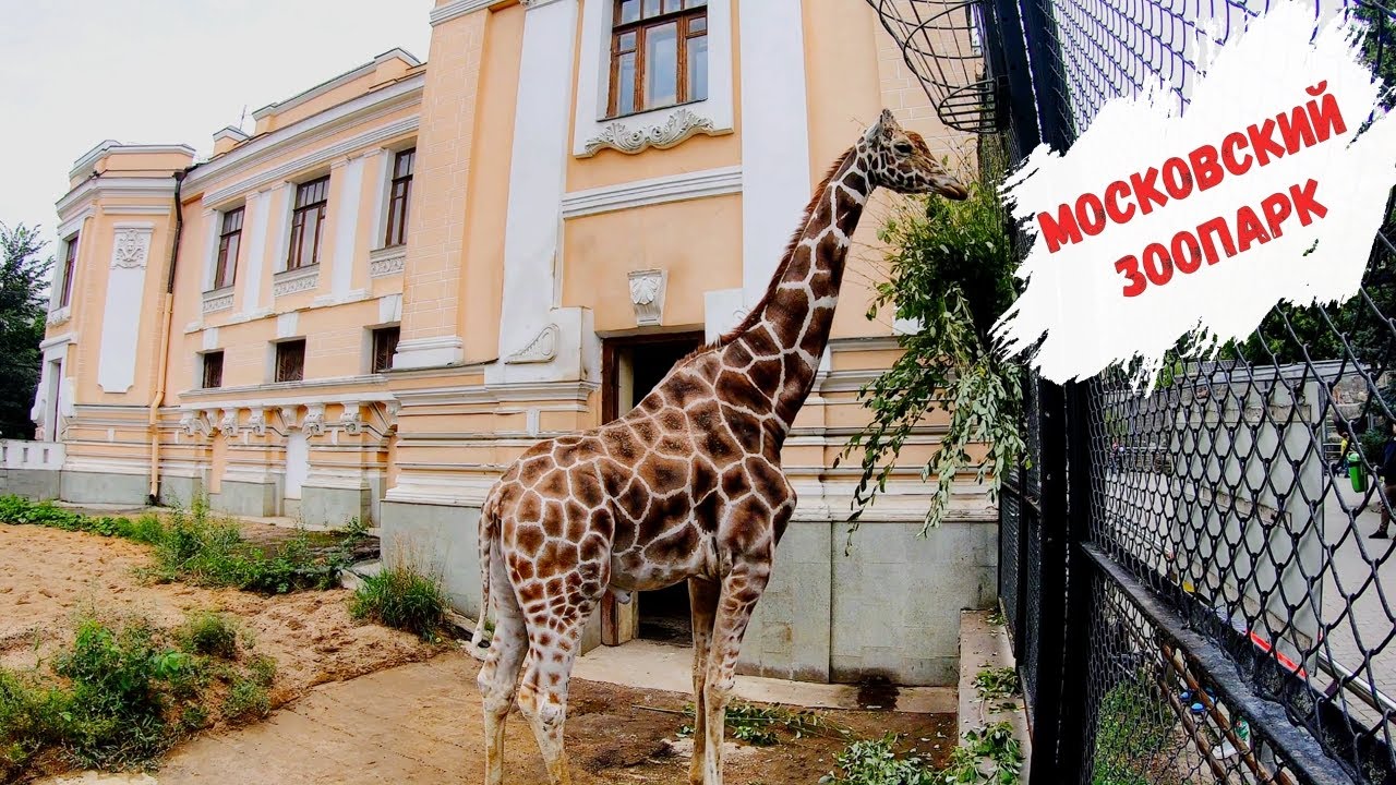 Московский зоопарк, ВДНХ, Парк Сокольники