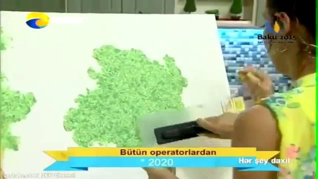 Мастер класс по работе с жидкими обоями SILK PLASTER от дилера из Баку смотреть онлайн