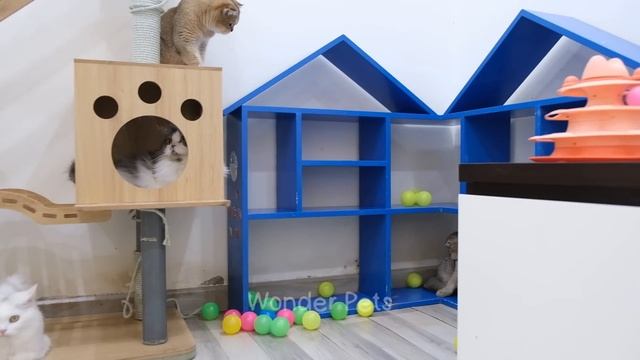 You Laugh You Lose ? Funniest Cats and Dogs ?? Part 4 смотреть онлайн