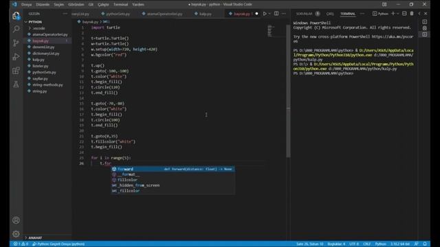 Python Da Türk Bayrağı Çizmek смотреть онлайн