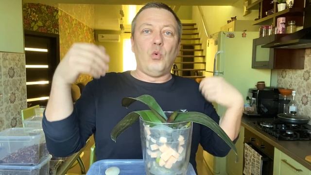 СТИМУЛИРУЮ КОРНИ ОРХИДЕЙ пересадкой охидеи в ЭТОТ грунт РЕЗУЛЬТАТ ВПЕЧАТЛИЛ смотреть онлайн