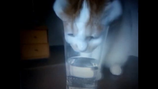 PILISHKIN. НЕУЁМНЫЙ ЗВЕРЬ ГОРМОН/ смотреть онлайн