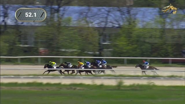 Скачки. Пятигорск. Приз в честь Праздника весны и труда. Чистокровная верховая порода. 02.05.2021 смотреть онлайн