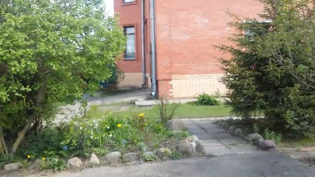 Дом в Звенигороде смотреть онлайн