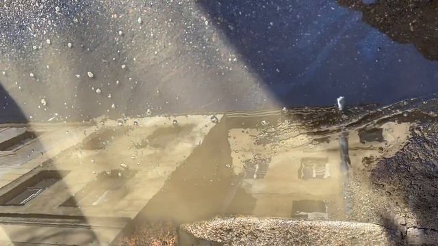 Петроградские параллели. Подрезова.