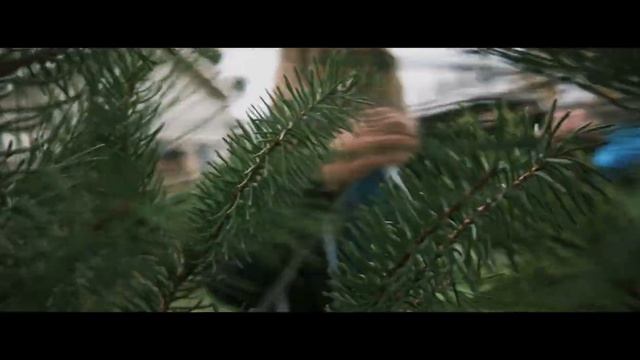 Nikon Z50 Fall Day Test Video Cinematic Style
