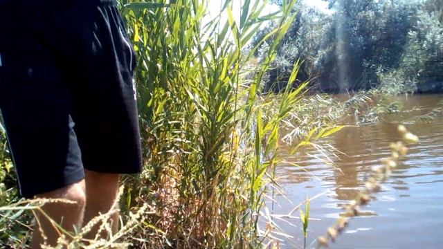 РЫБАЛКА НА УДОЧКУ!!!ЛОВЛЮ РАКОВ РУКАМИ!!! смотреть онлайн