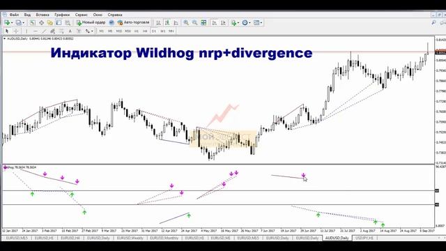 Индикаторы Форекс - Wildhog nrp + divergence | Подробный разбор смотреть онлайн
