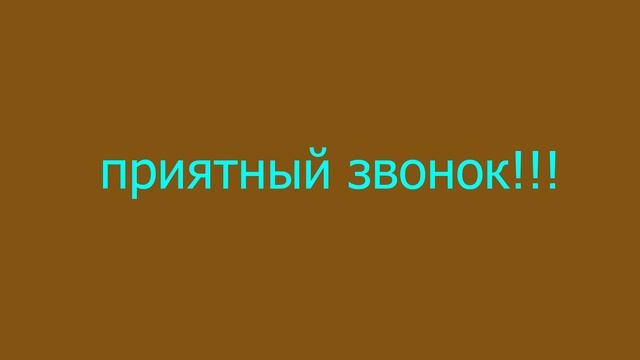 топ 5 шайлушаев смотреть онлайн