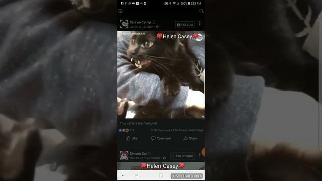 This cat 🐱 is a real vampire 🐱 смотреть онлайн
