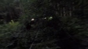 Квадроцикл ФАНТОМ едет ввезде .Знакомимся.