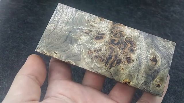 Стабилизированый кап чёрного тополя смотреть онлайн