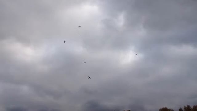 Воздушный бой rc моделей смотреть онлайн