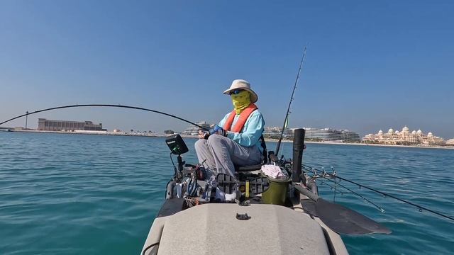 Dubai Kayak Fishing 17 Nov 2022 Hammour &  Queen