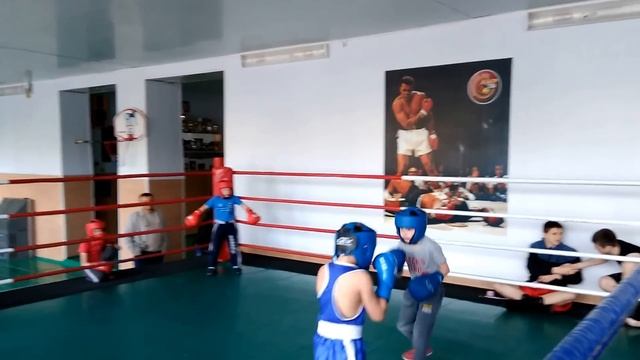 Спаринги дети бокс - Sparing children boxing 1 смотреть онлайн
