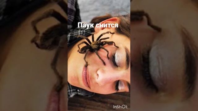 СНИТСЯ ПАУК. ВЕДЬМИНА ИЗБА ▶️ ИНГА ХОСРОЕВА смотреть онлайн