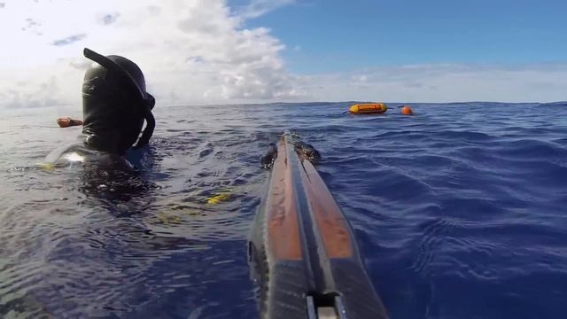 Экстремальная Подводная Охота на Мадагаскаре с Акулами смотреть онлайн