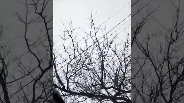 Гонки на санках смотреть онлайн