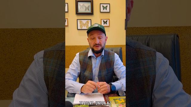 Романтические истории о любви и тайн истории