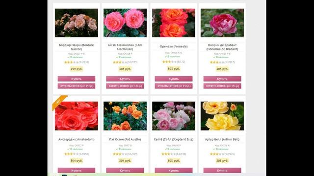 Питомник роза сад, розарий, любимые цветы. Где купить саженцы роз смотреть онлайн