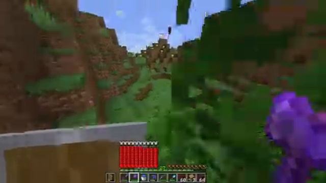 Minecraft LifeSteal SMP Java Edition for all versions Tlauncher Ip in description смотреть онлайн