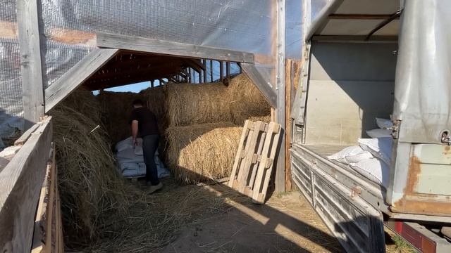 ЗАЧЕМ НАМ СТОЛЬКО? ПОДАРКИ ПРОДОЛЖАЮТСЯ! БОГАТЫЙ УРОЖАЙ! НАША ФЕРМА! ЖИЗНЬ ПРОСТЫХ ЛЮДЕЙ В ДЕРЕВНЕ! смотреть онлайн