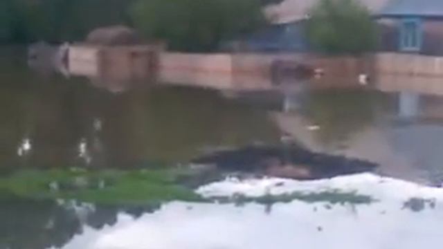 потоп в с.Трусово.Иван Трусов смотреть онлайн