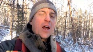 Потерял собаку! Первый тест GPS-ошейника ARTELV.