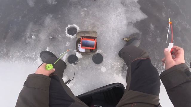 ПЕРВЫЙ ЛЕД! ГЛУБИНА 30 СМ КЛЮЕТ ОДИН ЗА ОДНИМ! РЫБАЛКА НА РОТАНА смотреть онлайн