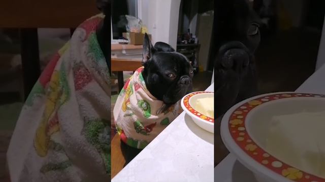 VID 105060926 082622 850 смотреть онлайн