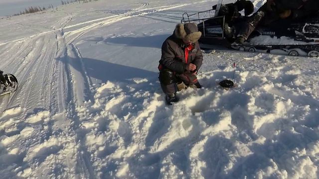 Новое озеро повторный заезд Норильск март 2022 смотреть онлайн