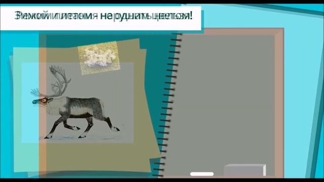 Что мы знаем о северном олене? смотреть онлайн