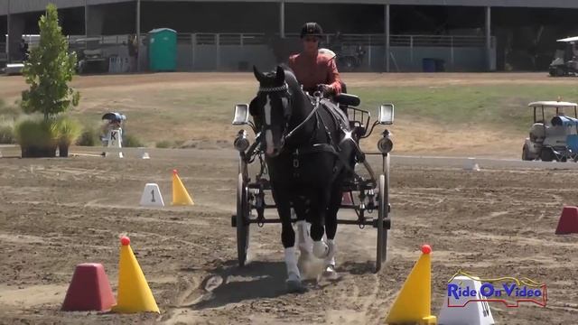 023C Kanoe Godby Preliminary Single Horse Cones Sargent Equestrian CDE Aug. 2016 смотреть онлайн