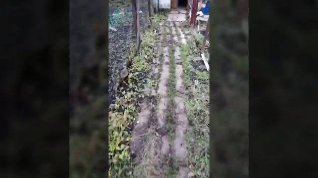 Покупка дома в деревне для дачи смотреть онлайн