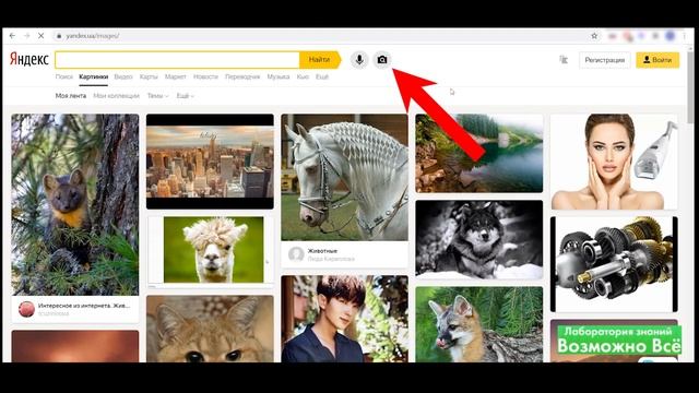 Пробить номер телефона и узнать владельца по номеру телефона бесплатно онлайн фамилию и регион