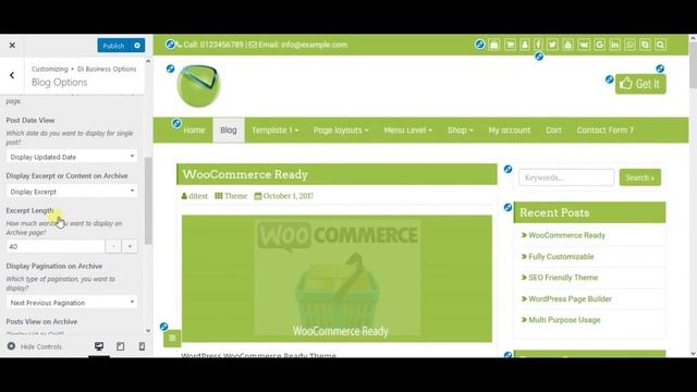 Blog Options - Di Business WordPress Theme смотреть онлайн