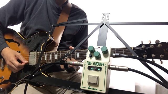 [BOCCHI THE BLUES!] The Thrill Is Gone/B.B.King Style | Ibanez NTS NU TUBESCREAMER смотреть онлайн