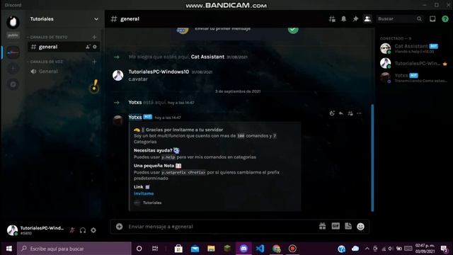 Como invitar al bot Yotxs A tu server Discord | Publicidad, Random | TutorialesPc-Windows10 смотреть онлайн