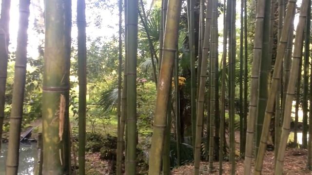 Москва-Сочи