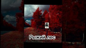 Самые радиактивные места в Чернобыле