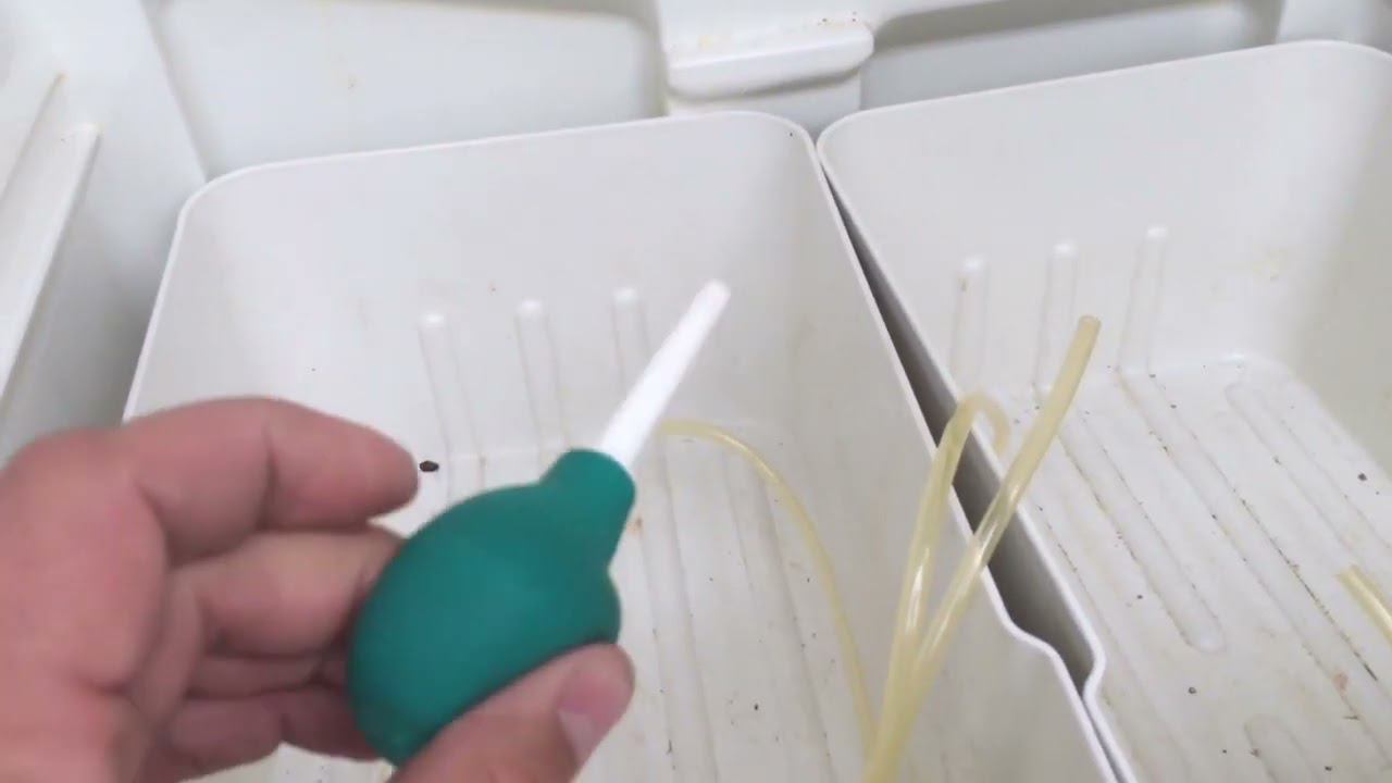 Ремонт Холодильников - КАК ПРАВИЛЬНО ПОЧИСТИТЬ ДРЕНАЖНОЕ ОТВЕРСТИЕ ХОЛОДИЛЬНИКА!