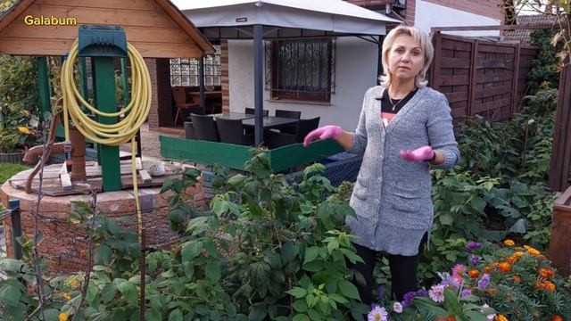 Осенние работы на даче в октябре. Что делать в саду и огороде в октябре? @galabum смотреть онлайн