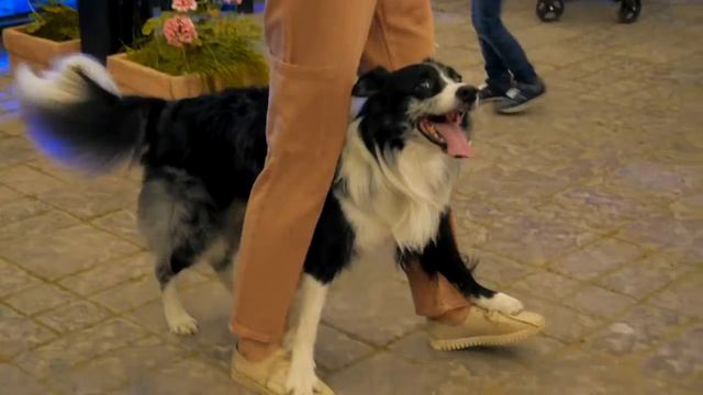 "ЦИРК" ДЕНЬ РОЖДЕНИЯ КИРЫ, 11 АВГУСТА 2020 смотреть онлайн