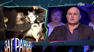 «За гранью»: «Звериная двушка» | Выпуск от 28 марта 2024 года