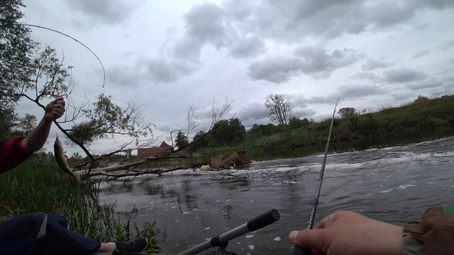 Сплав и немного рыбалки. часть 1 смотреть онлайн