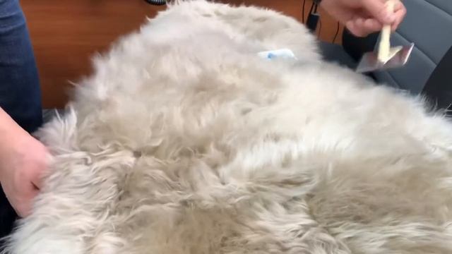 Меховые накидки на сиденья обзор (виды и отличия) смотреть онлайн