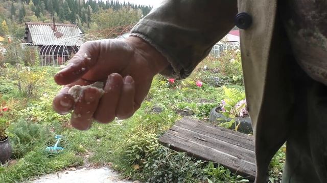 Самая простая мышеловка смотреть онлайн